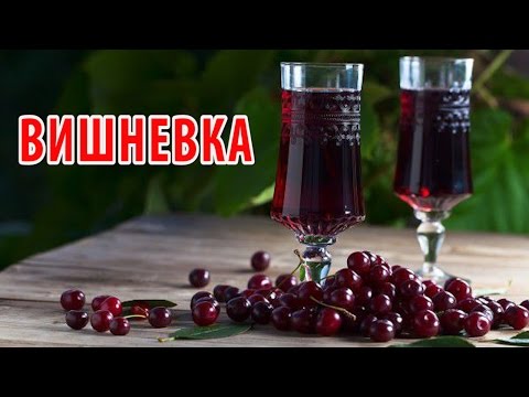 Видео рецепт Вишнёвка