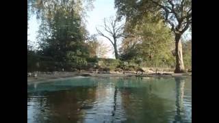 Beach for the penguins, London Zoo