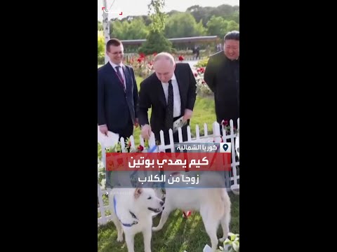 زعيم كوريا الشمالية كيم جونغ أون يهدي الرئيس الروسي فلاديمير بوتين زوجا من الكلاب