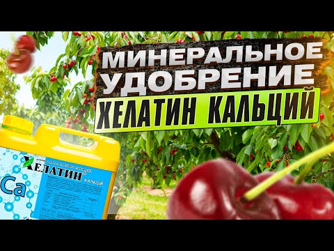 Video: Кальций хлоридинен быштакты кантип жасашат