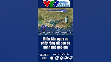 Miền Bắc nguy cơ cháy rừng rất cao do hanh khô kéo dài | VTVWDB
