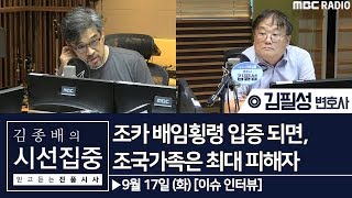 [김종배의 시선집중] 조카 배임횡령 입증되면, 조국가족은 최대 피해자 - 김필성 변호사