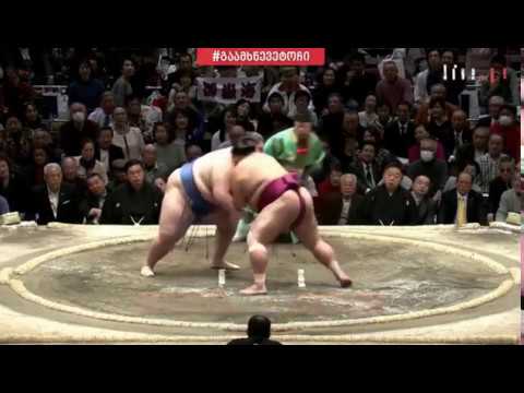 მიტაკეუმიმ ჰაცუ ბაშოზე დადებითი ბალანსი გაიფორმა