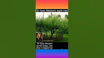 😮 This is Isaac Newton