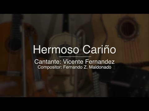 Hermoso Cariño - Puro Mariachi Karaoke - Vicente Fernandez