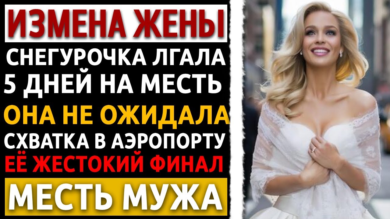 Я 47-летний аналитик. Жена и её босс хотели меня посадить. Я хладнокровно рассчитал их падение.