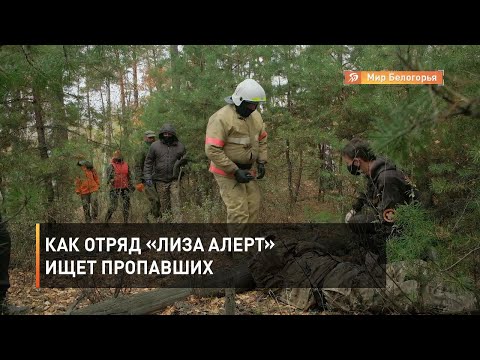 Как отряд «Лиза Алерт» ищет пропавших