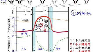 10601高三選修生物ch5 2 05心動周期中動脈、心室、心房的壓力 ...