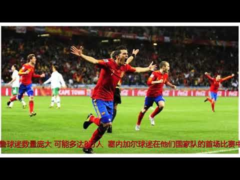 英媒:中国球迷看世界杯 还出人意料地支持一些球队