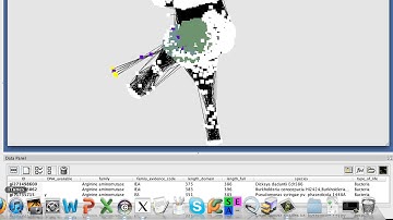 Cytoscape Video Tutorial