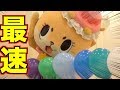 世界最速で風船を割るカワウソ☆ちぃたんですっ☆