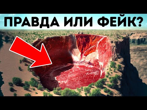 Эта таинственная яма  гигантское живое существо