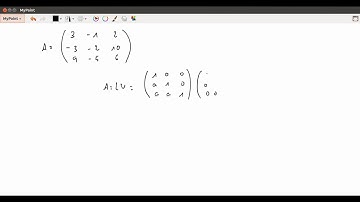Factorización LU de matrices [HD]
