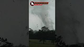 #tornado sends trees flying hundreds of feet in the air!