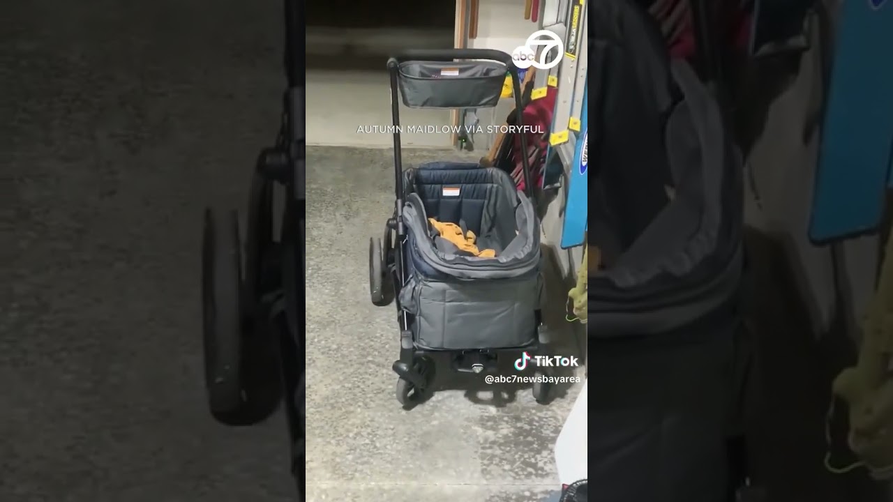 Venomous snake sneaks into baby's stroller