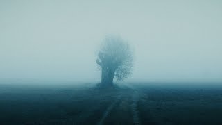 Jasmine Jethwa - Dream Of Running (MALU Remix)