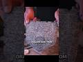 3D Printing The Dragonstone, Skyrim in Real Life - #skyrim #gaming #shorts #3dprinting #skyrimae