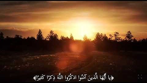 " هُوَ الَّذِي يُصَلّي عَلَيْكُم".. ما تيسّر من سورة الأحزاب.. القارئ/ موسى أبو التين🌹