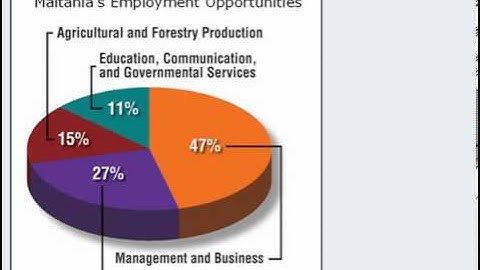 Integrated Reasoning GMAT    Types of Graphics