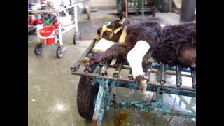 Eski Hannover Vagonu 7