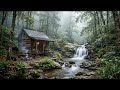 Cozy Cabin by the Waterfall in Rainy Forest 🌧️ Relaxing Nature Sounds for Sleep & Study