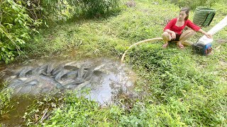 Fishing Skills to Catch More Fish, Fishing Skills, Survival Fishing | Duyen - Farm Bushcraft