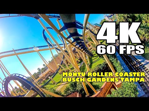 Montu Roller Coaster Front Seat Ride INCREDIBLE 4K 60FPS Footage Busch Gardens Tampa