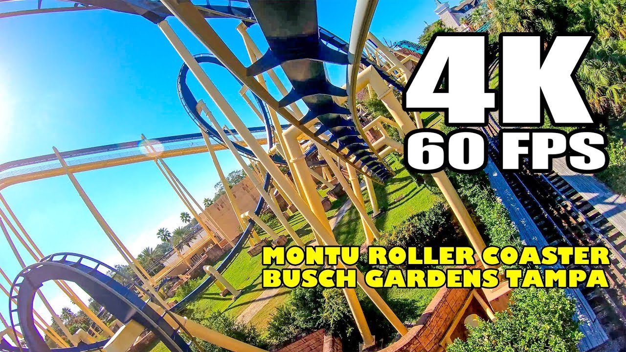 Montu Roller Coaster Front Seat Ride Incredible 4k 60fps Footage