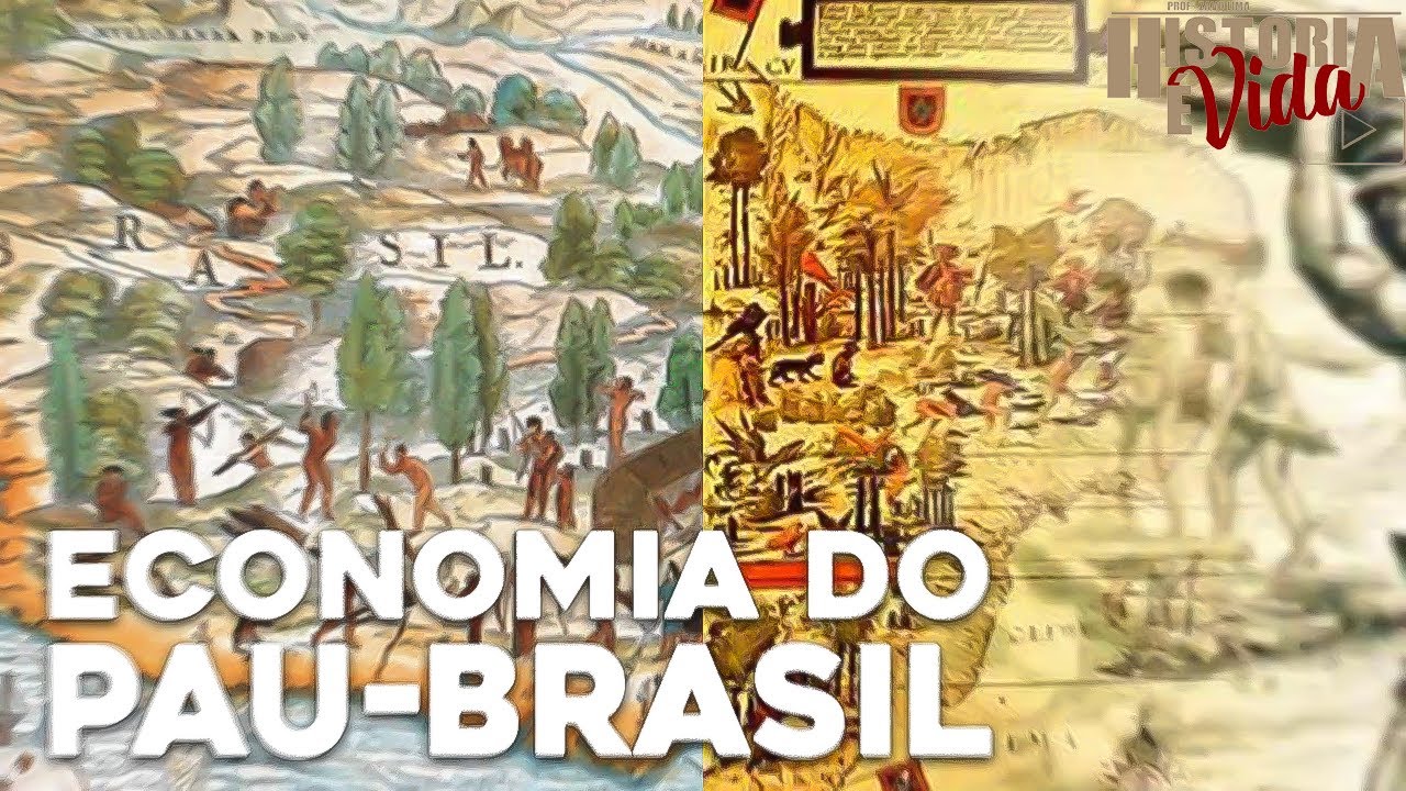 ECONOMIA DO PAU-BRASIL | Brasil Colônia | Aula de história para o ENEM ...