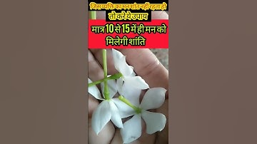 मन को शांत करने का अचूक उपाय ।।#pandit_pradeep_ji_mishra#shorts#viral#youtubeshorts#shiv#shortsfeed