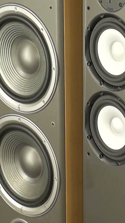 JBL vs Magnat #speakers