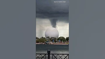 Tornado Warning At Disney World Shorts 