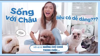 What it's like to live with 4 DOGS? *Such a fun video! 🐶 | Chau Bui Official