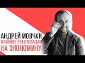 «С приветом, Набутов!», Андрей Мовчан, Влияние роботизации на экономику