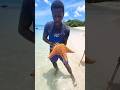 Selfie Kills Starfish 🤳😲 #shorts #starfish #animals