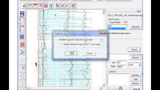 Neuralog Software Tips & Tricks: Straighten Log