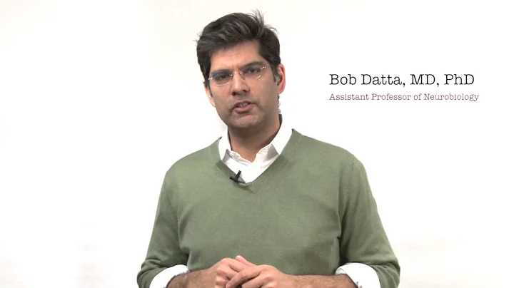 Bob Datta | How Scent Impacts Behavior and Learning