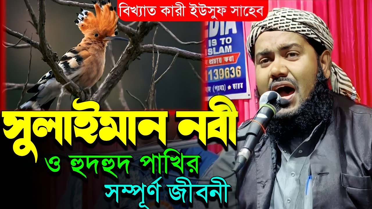 সুলাইমান নবী ও হুদহুদ পাখির সম্পূর্ণ জীবনী┇মাওঃ ইউসুফ সাহেব ওয়াজ┇Qari Maulana Yusuf Ali waz jalsa