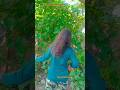 Gori halve halve chhal gaat ki rail bnayegi #hariyanvisong #dance #newharyanvisong #song #shortvideo