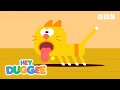 Duggee Cats🐱 | International Cat Day! | Hey Duggee