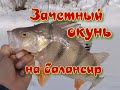 Зачетный окунь на балансир