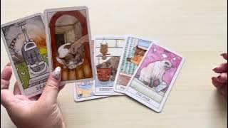 Random card story telling | “Does he feel guilty or regretful for doing this to you?”