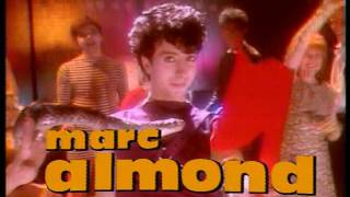 Marc Almond - Shining Brightly