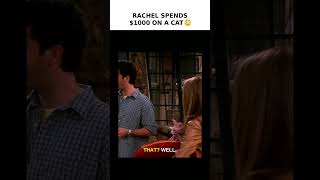 Rachel's $1000 Cat?! 😱
