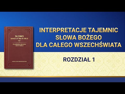 Wideo: Jak Zrozumieć, że Zostałeś Oszołomiony?