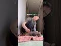ひき逃げされた猫の奇跡
