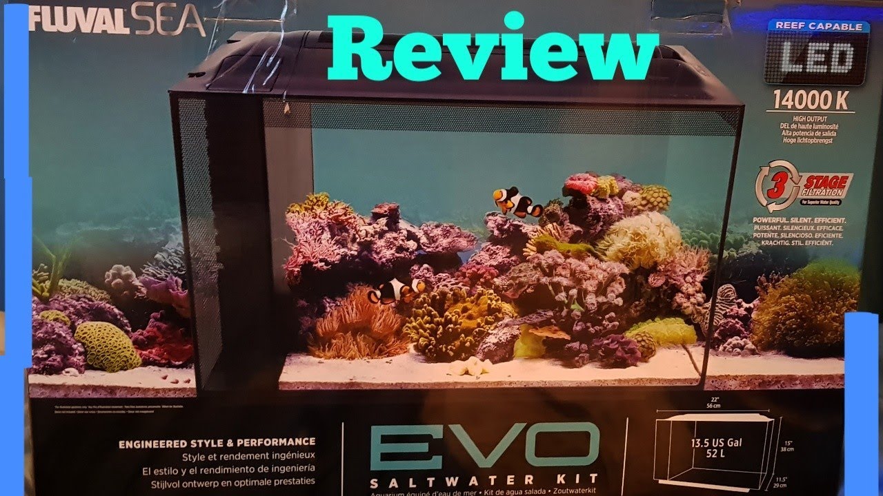 pulsing xenia tank placement Fluval Evo 13.5 | Review