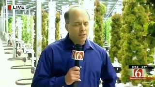 Aeroponic farm, exploding with food in the middle of a winter “food desert”!