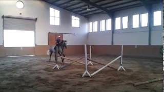 Casper horse 2017 0823 Márkó1