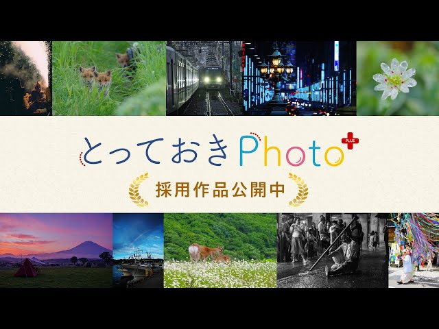 ピーター・リック写真集／2016年度米国グラフィックデザイン賞を受賞 KWIN: 